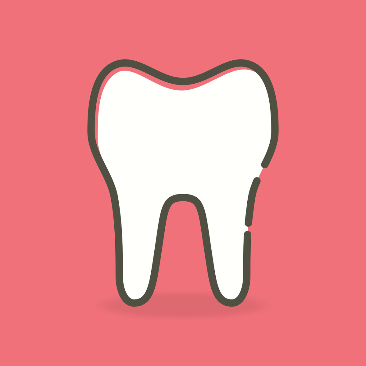 Ładne zdrowe zęby także powalający prześliczny uśmieszek to powód do dumy.